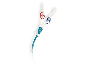 BioFlo Duramax® catheter