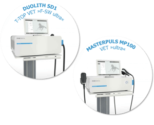 Stosswelle für Veterinary