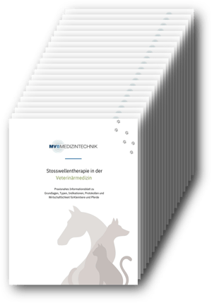 Titelblatt_Infoblatt-Veterinärmedizin